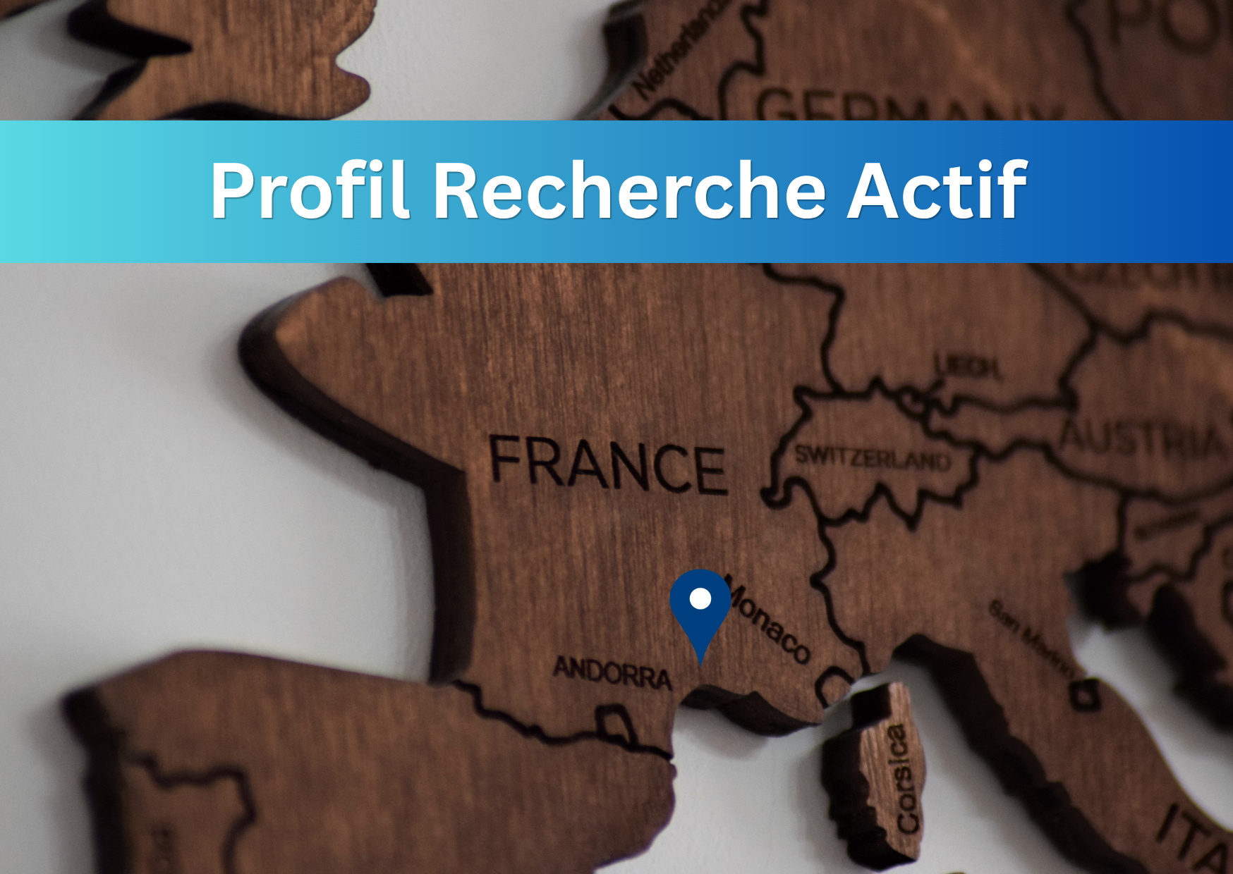 Profil de recherche