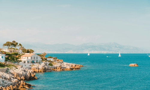 anthony-salerno-I1hzGTtKMgU-unsplash (1)